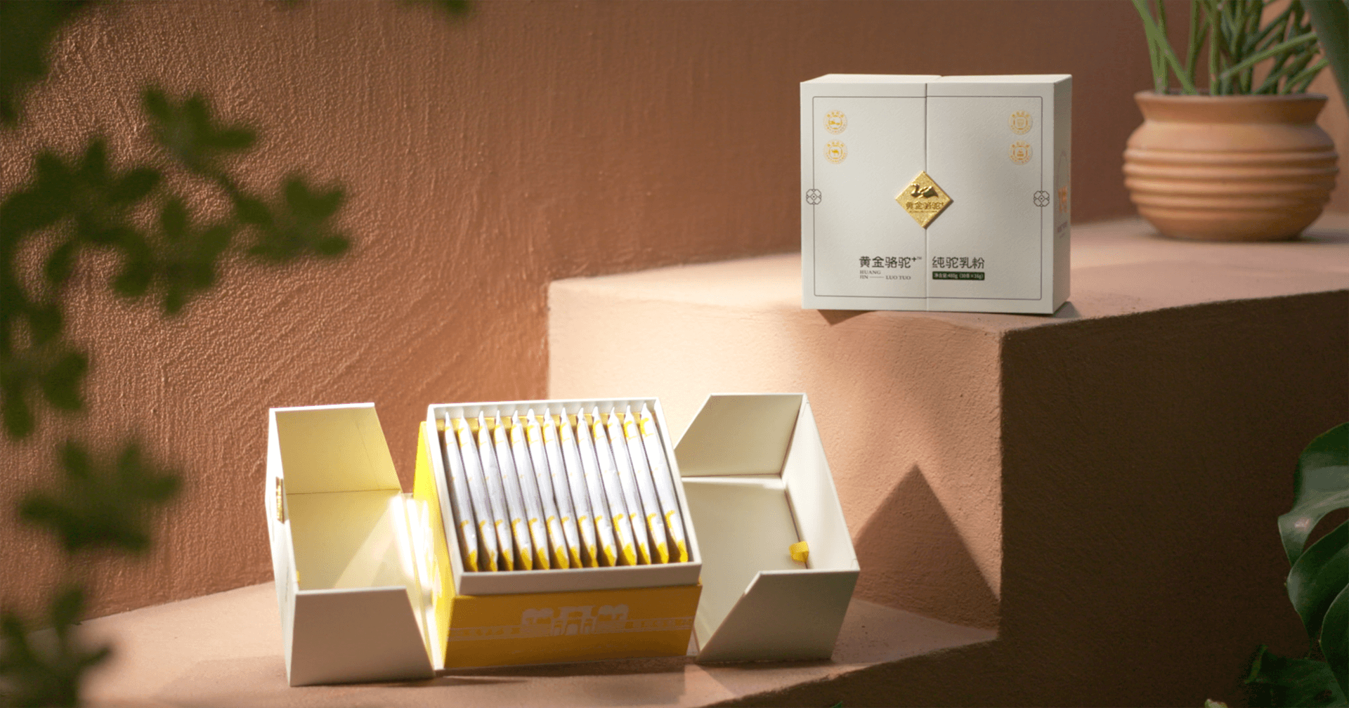 定位小众高端乳粉，jinnianhui今年会推出驼奶品牌“黄金骆驼+”，角逐乳品新市场！